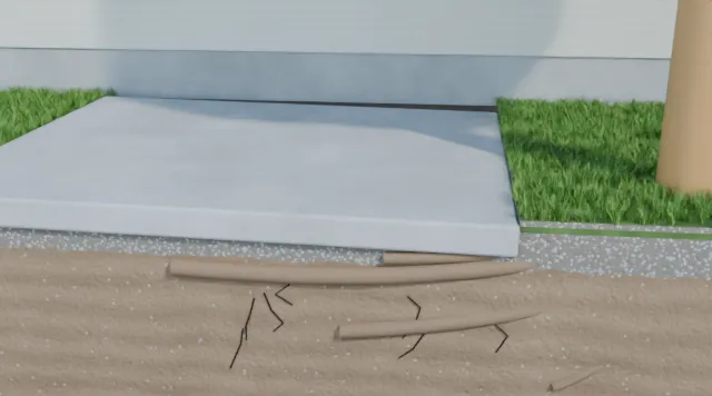 3D cutaway of tree roots drying out the soil under a slab